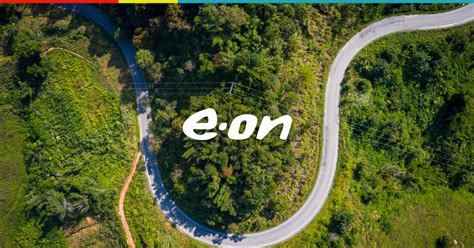 eon shareholder structure